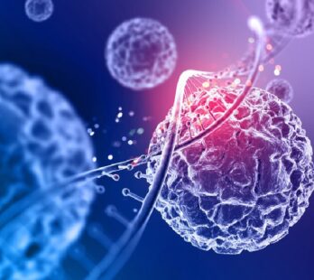 cuáles son los beneficios de la conservación de células madre