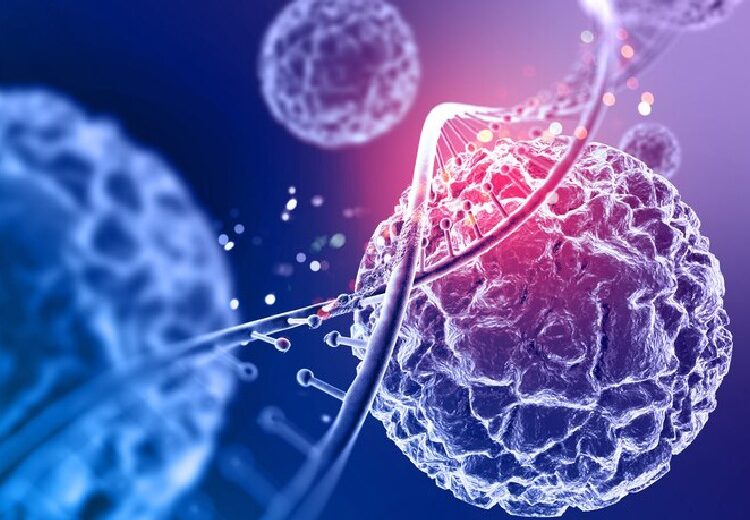 cuáles son los beneficios de la conservación de células madre