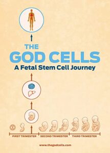 The God Cells - A Fetal Stem Cell Journey