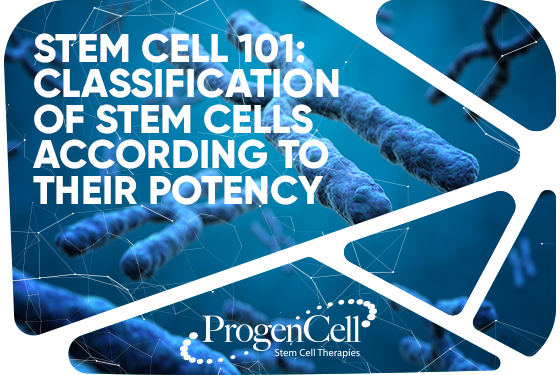 Stem Cells 101: Classification of Stem Cells according to their potency.