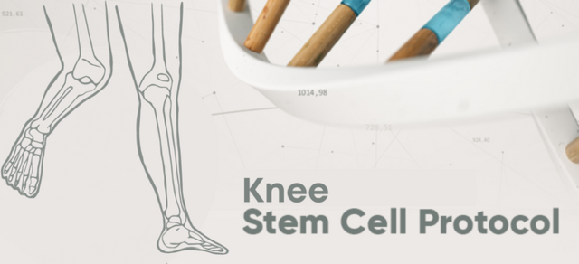 Knee Stem Cell Protocol