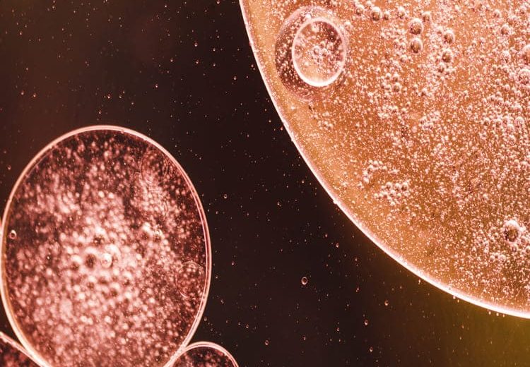 Post-treatment care for Stem Cells