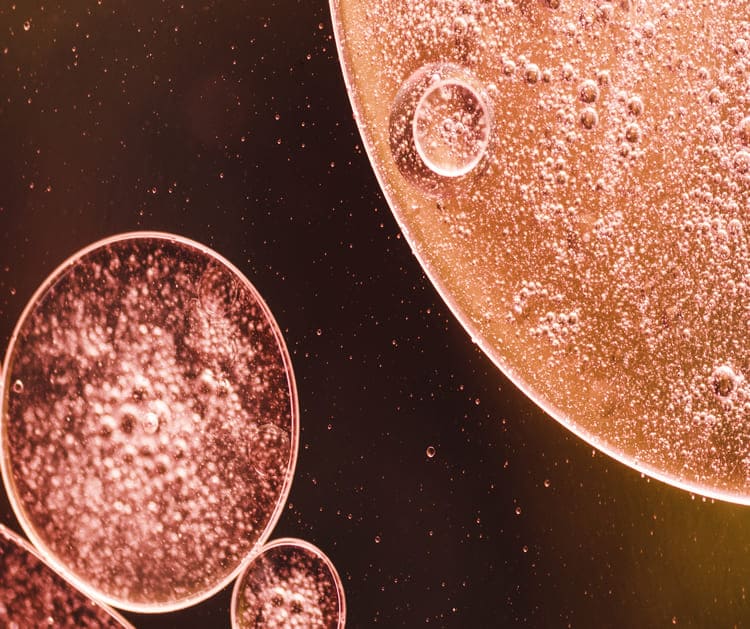 Post-treatment care for Stem Cells